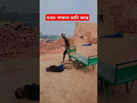 রেস্টুরেন্টে গিয়ে ভালো-মন্দ খেয়ে আসবো #shorts #viralvideo #funny #shortvideo #short #comedy