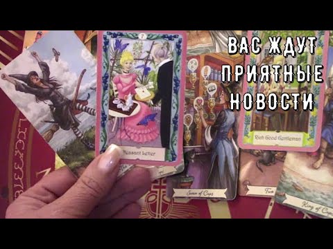 Цыганский оракул сказал всю правду 📝 Таро знаки Судьбы #таро#врек#топ#новости#сюрприз