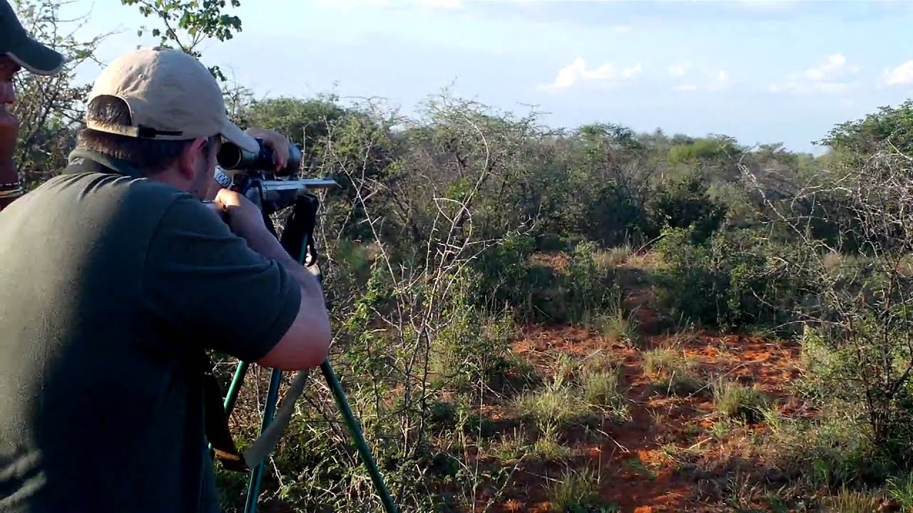 Antelope Hunting Safaris og andre