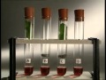Plant Nutrition and Respiration Concepts