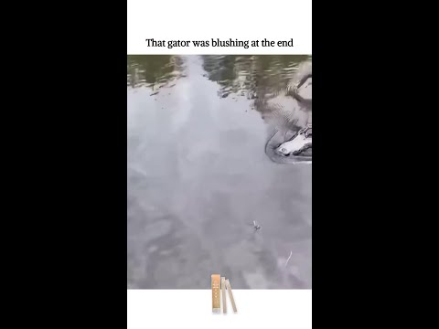 That gator was blushing at the end.