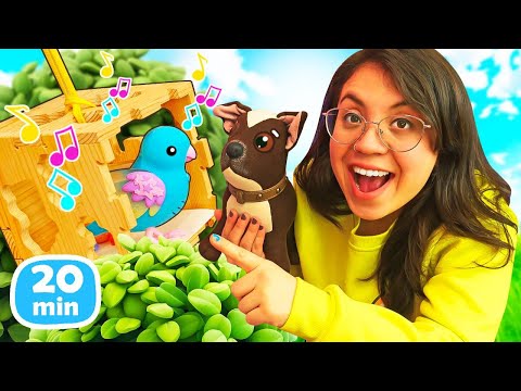 ¡Chocolate se hace amigo de un pájaro!