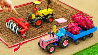 DIY Making Dragon Fruits farm with Disk Plowing Machine | Fun Agricultural Science Project