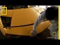 Murcielago Painting Process Insights
