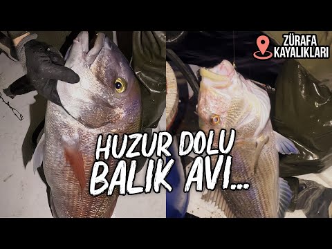 AKŞAM SUYU PARAGAT ATTIK! | ZÜRAFA KAYALIKLARI'NDA BİR GECE!