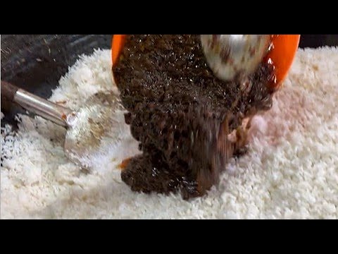 SKILL DEWA !! MASAK NASI GORENG KUALI JUMBO CUMA SENDIRIAN !!