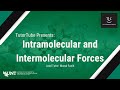 Exploring Intramolecular and Intermolecular Forces