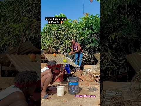 Unity - Nature fruit๐ฅญ(Creativity Video)