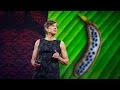 Understanding Plant Genetics and Genetic Modification