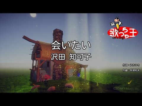 【カラオケ】会いたい / 沢田知可子