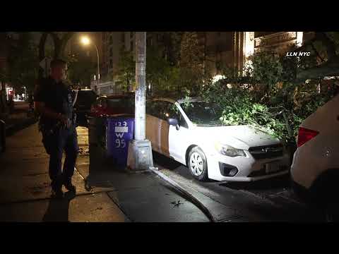 Tree Destroys 4 Cars @ Upper West Side Manhattan