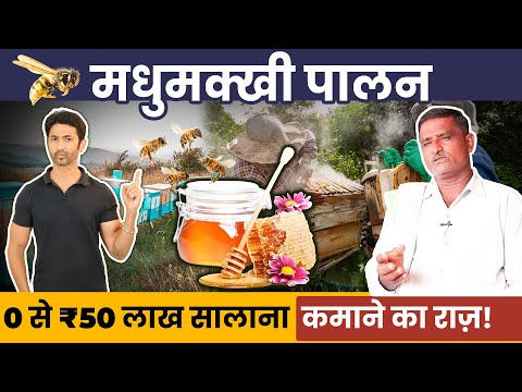 मधुमक्खी पालन कैसे शुरू करें? How to Earn Money from Honeybee Farming (Apiculture) in 2025?