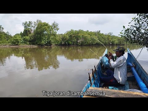 Spot pertama dibuat sibuk dengan tiga joran