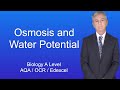 Osmosis and Water Potential Concepts