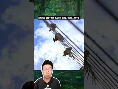 SENGAJA DI AKTIFIN LISTRIKNYA PADAHAL LAGI ADA ORANG #shorts