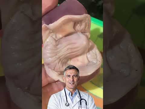 💪🥗 O Alimento Esquecido Que Tira a Fraqueza, Acaba com Tontura e Dá Energia de Sobrar! 🚀✨ #shorts