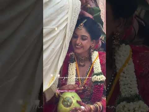 amir pavni wedding celebration viral video saree draft by thiviyan jayarooban #shorts #video#reels