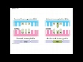 Gene Expression and Mutation Types