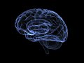 Optogenetics and Neural Behavior Concepts