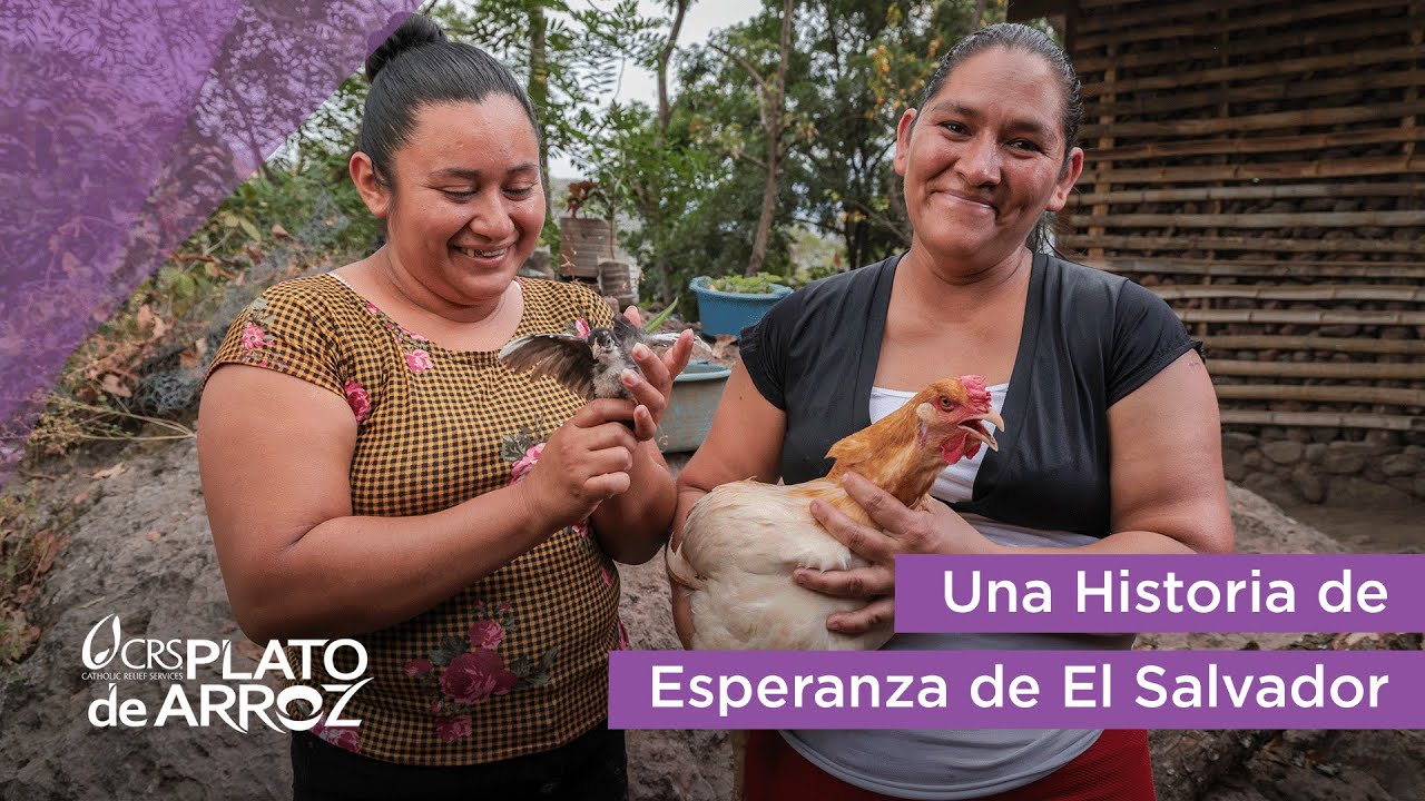 Criar pollos en El Salvador como nuevo medio de vida