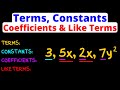 Identifying Terms and Coefficients in Algebra