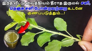 தீராத இருமல் சளி நெஞ்சு சளி போன்றவற்றை உடனே குணப்படுத்தும்|இருமல் பிரச்சனைக்கு தீர்வு|cold and cough