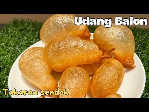 Udang Balon VIRAL! takaran sendok