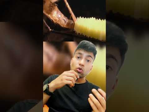 Floating Cities of the Mosquito World 😈