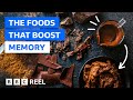 Memory and Nutrition Concepts