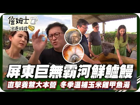 《跟著姆士出遊去》屏東巨無霸河鮮鱸鰻王 直擊養鱉大本營 冬季溫補玉米雞甲魚煲湯