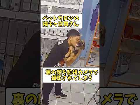 【ショート反応集】ペットサロンの陽キャ店員の裏の顔がヤバすぎるwwwww #shorts #2ch