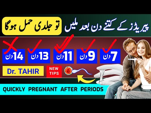 How To Get Pregnant After Periods Quickly |Periods k Kitne Din Baad Pregnancy Hoti hay |Ovulation