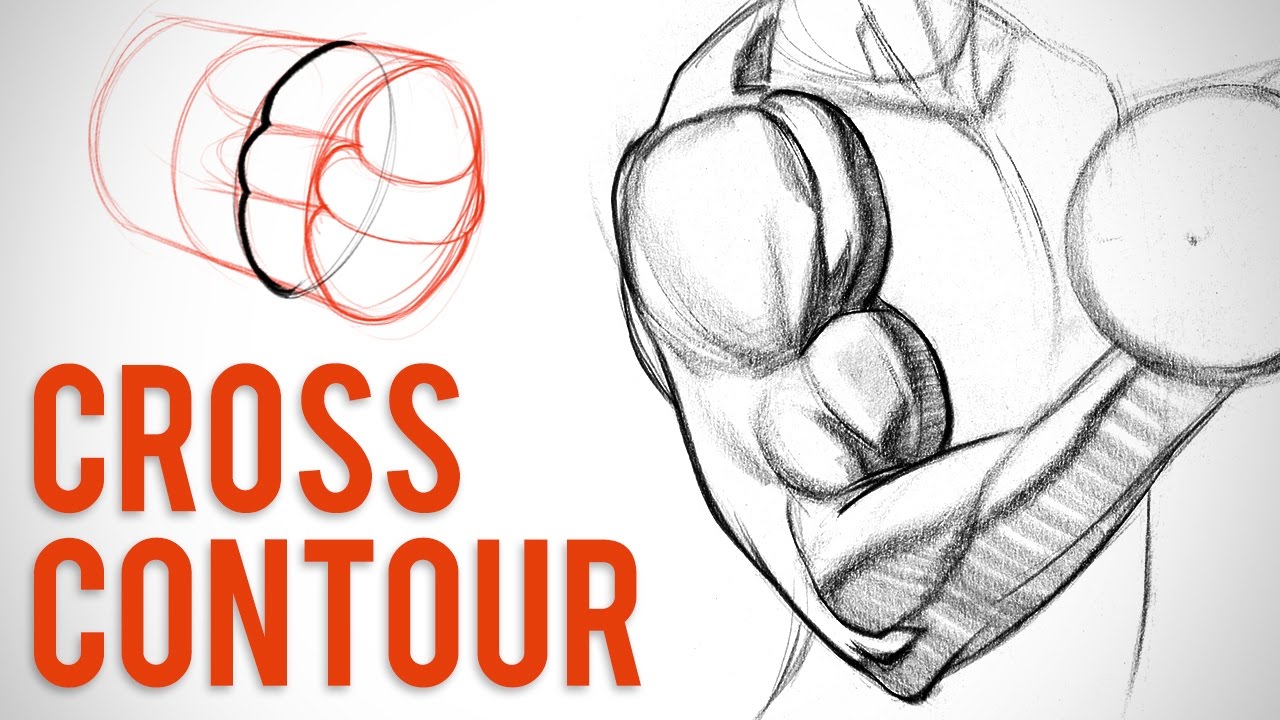 Simplifying Arm Muscles with Cross Contour - Biceps Critique - Proko