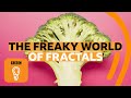 Fractals in Nature and Science