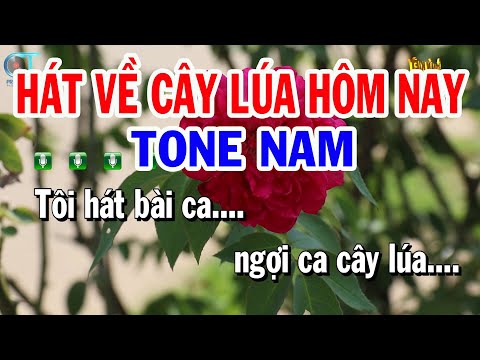 Karaoke Hát Về Cây Lúa Hôm Nay Tone Nam ( Em ) Nhạc Sống Mới | Karaoke Tuấn Kiệt