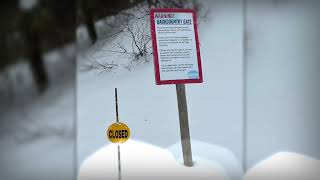 Solo Ski Day At Bogus…
