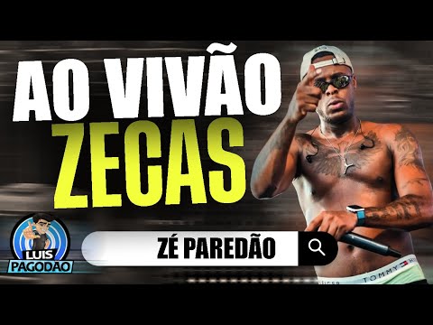 ZE PAREDAO | CD AO VIVAO SAUBARA 2024 | ATUALIZADO NOVEMBRO