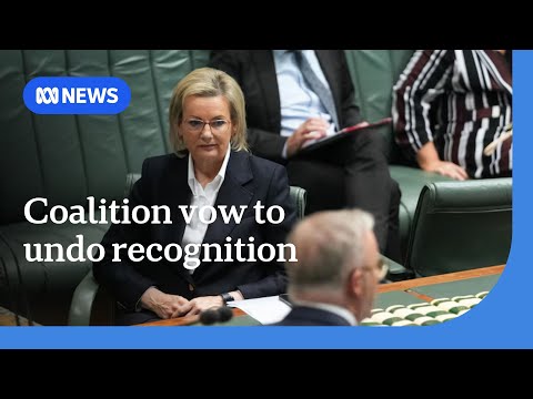 YouTube video thumbnail: Coalition Would Undo Palestinian Recognition if Elected