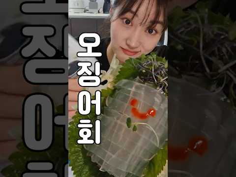 오징어 없는 오징어 회