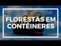 Impactos da Globalização e Logística