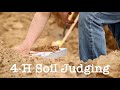 Understanding Soil and Its Importance
