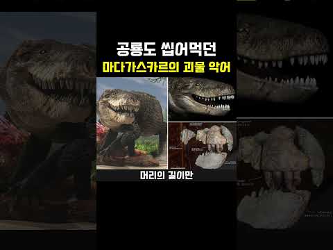 공룡도 씹어먹던 마다가스카르의 괴물 악어 ㄷㄷ