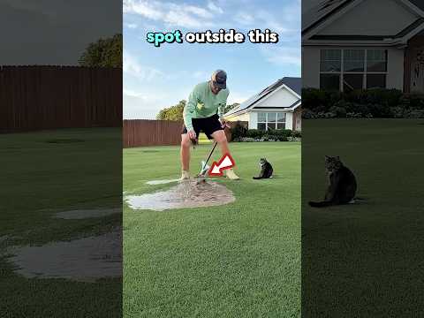 Water Started Coming From His Garden!