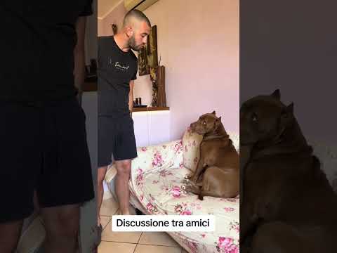 Vuole sempre avere ragione