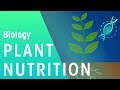 Hydroponics and Plant Nutrients
