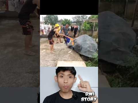 suara tangisan bayi #shorts