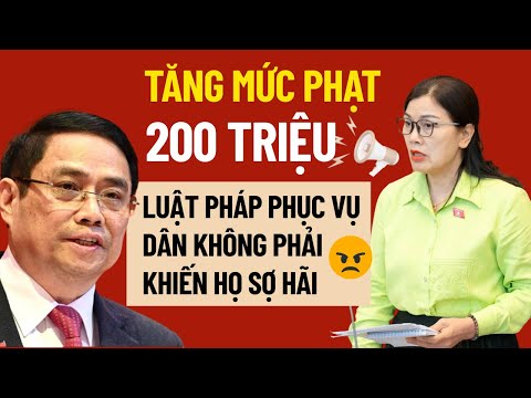 Tin Tức 24h: Đề Xuất Phạt 200 Triệu – Khi Thủ Tướng Cũng Lắc Đầu!