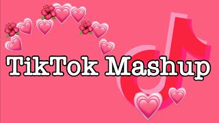 TikTok Mashup February 2022 (not clean)