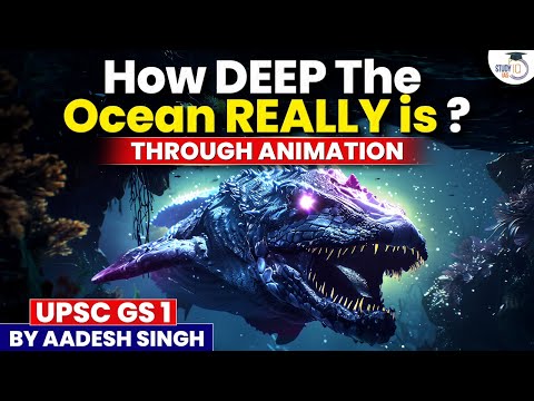 How Deep is the Ocean Really? | Explore Marine Life Through Animation | StudyIQ