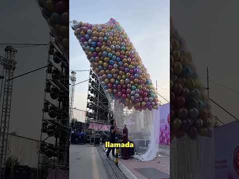 Miles De Globos Carísimos Fueron Desperdiciados 😱